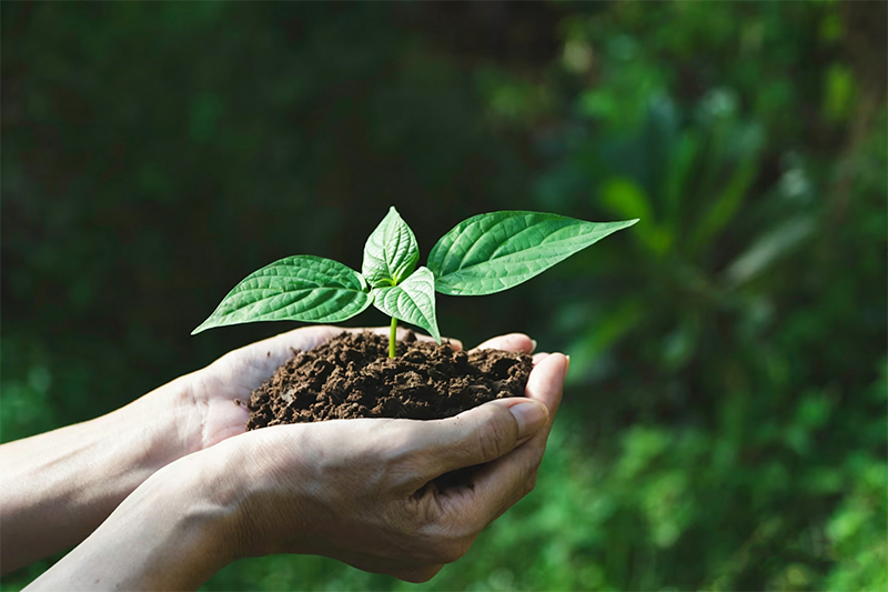 Sustainability